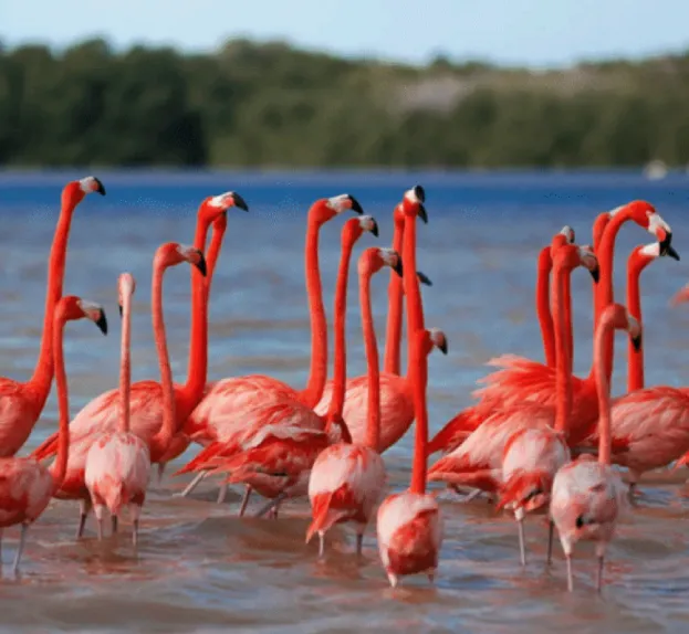 Experiences - Cigno Hotels