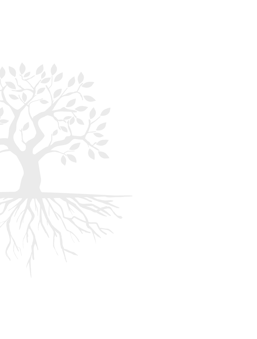 Silhueta de uma &aacute;rvore com ra&iacute;zes extensas.