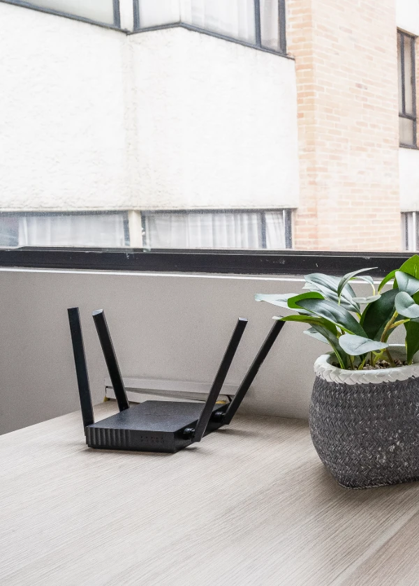 Router negro y planta en una mesa junto a una ventana.