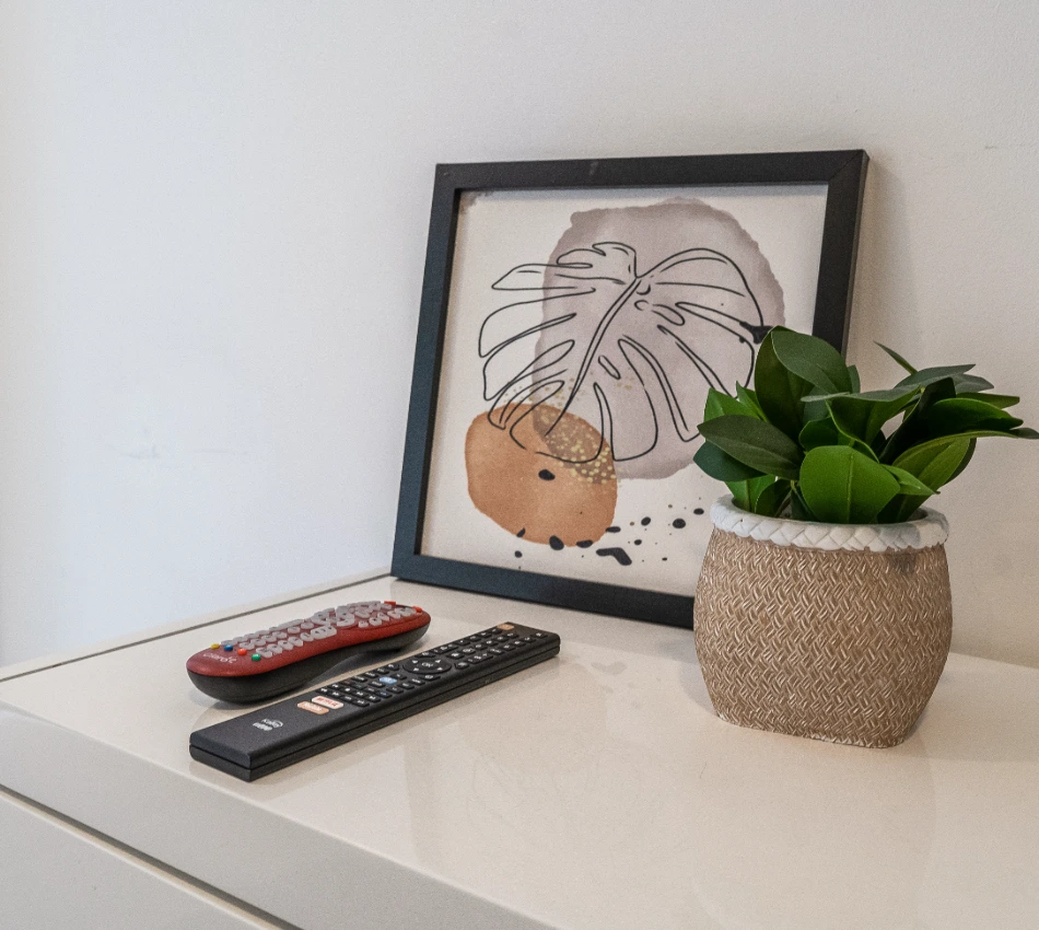 Cuadro, planta y controles en una mesa blanca.