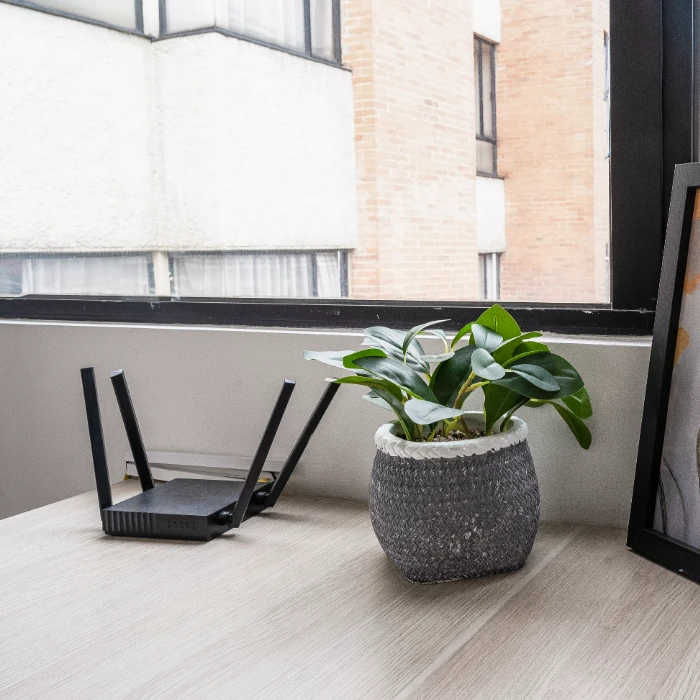 Router y planta en una mesa junto a una ventana.