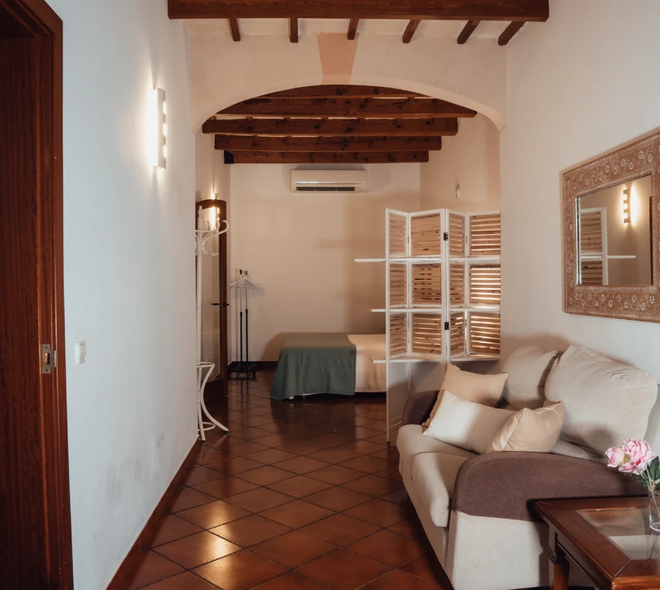 Sala acogedora con sof&aacute;, espejo y separador, vista a una cama al fondo.