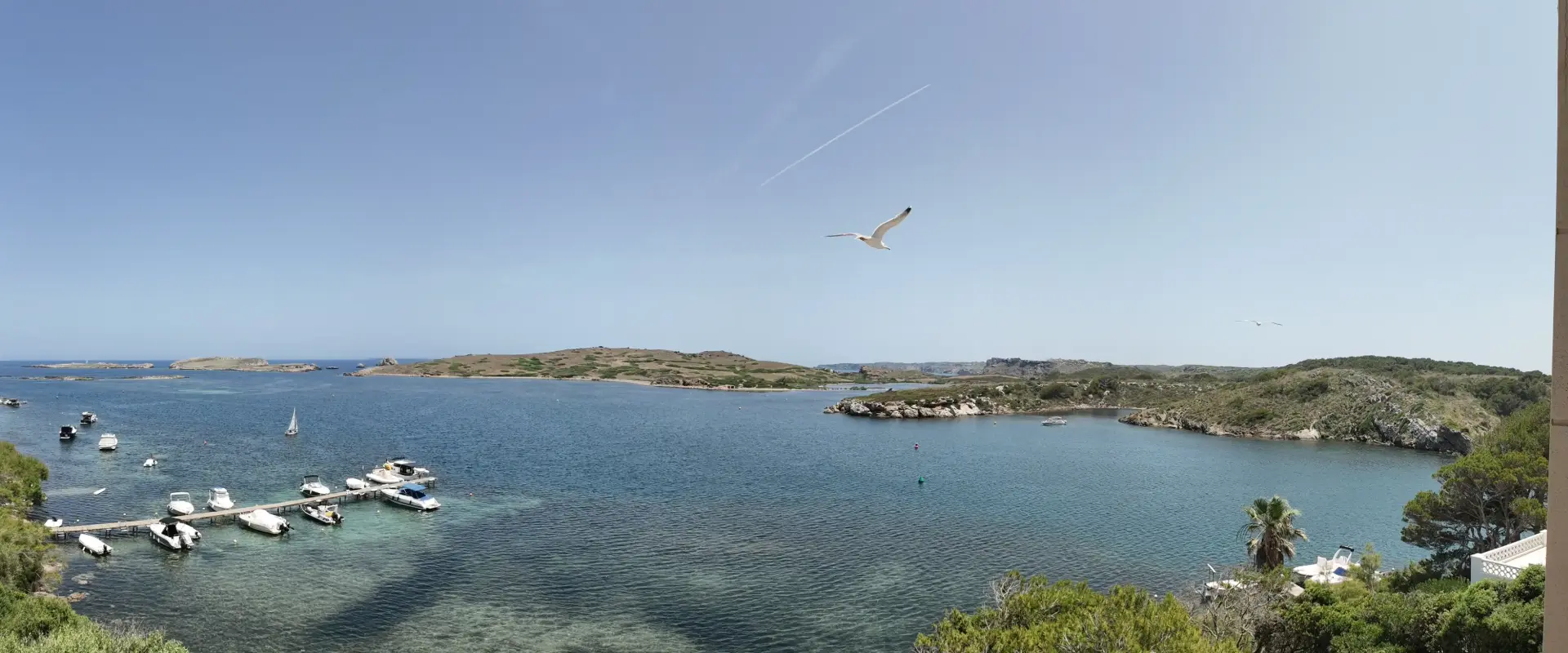 Vista panor&aacute;mica de bah&iacute;a con botes, gaviota y cielo despejado.