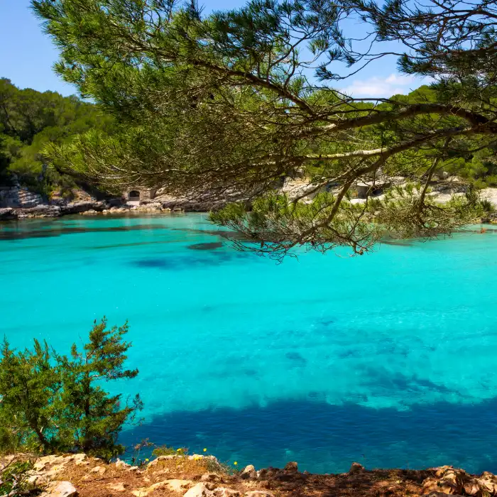 Agua turquesa en una cala rodeada de &aacute;rboles y vegetaci&oacute;n.