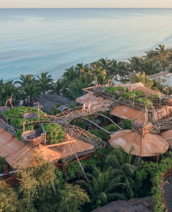 Aerial view of treehouse resort by the ocean with lush greenery.