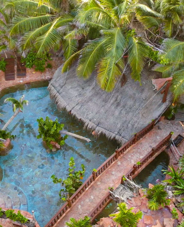Aerial view of a tropical pool with a thatched roof and palm trees.