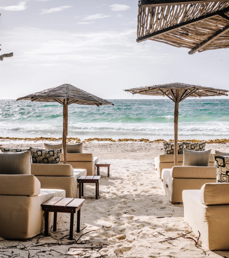Beach loungers and umbrellas facing the ocean on a sandy shore.