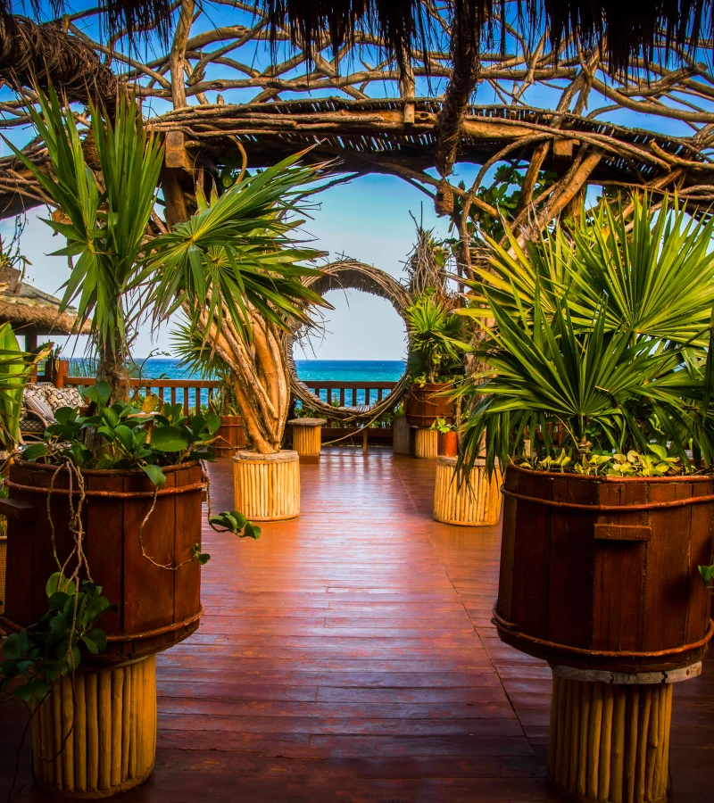 Tropical patio with wooden barrels and beach view.