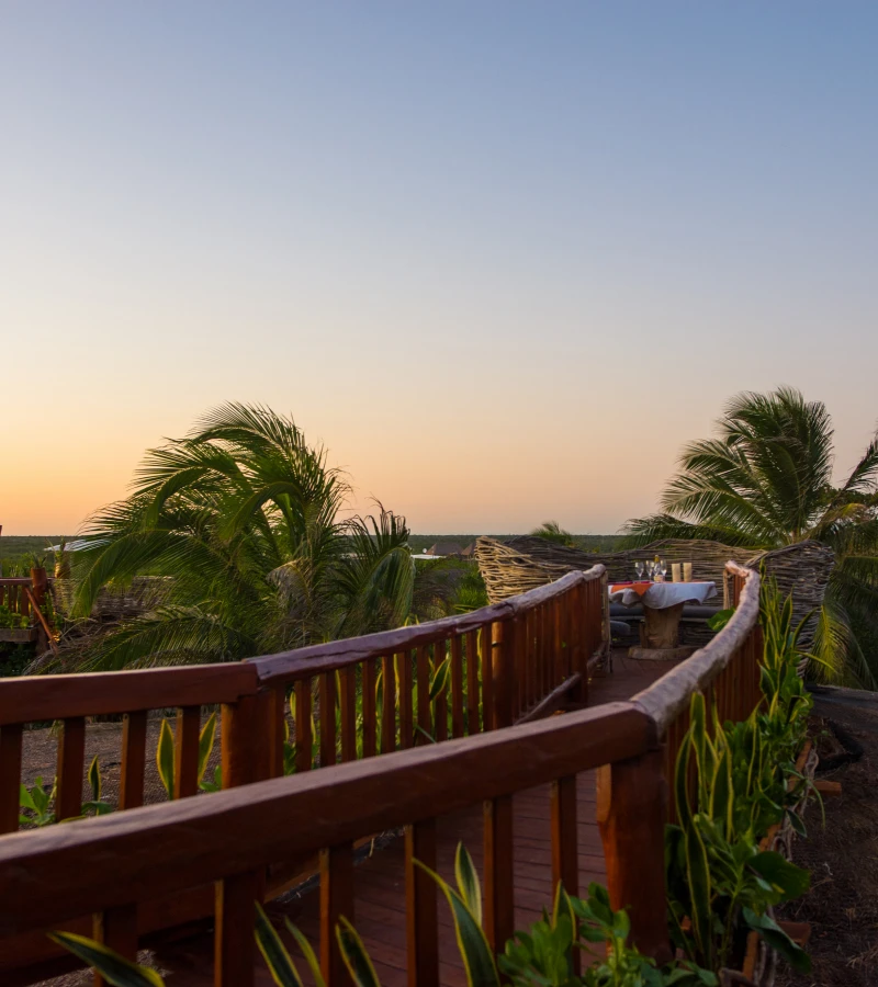 Wooden walkway with palm trees at sunset.