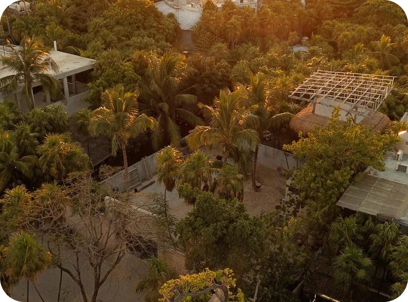 Aerial view of a tropical landscape with lush trees and buildings.