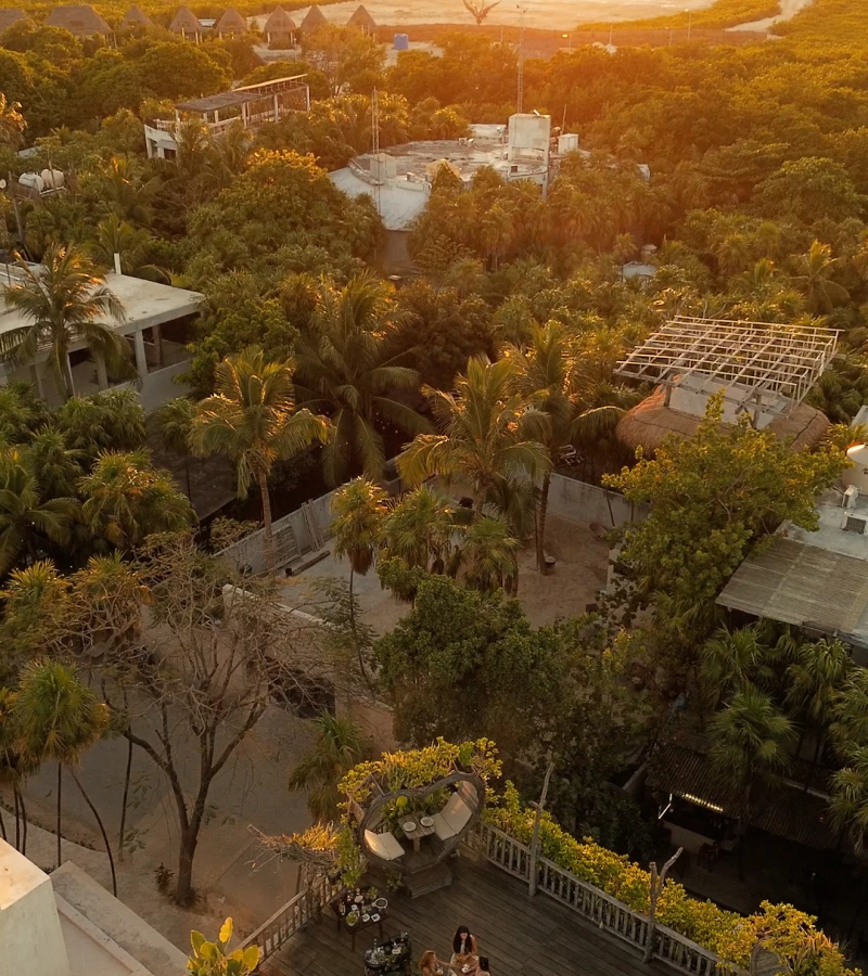 Aerial view of a lush tropical area with buildings and a sunset-lit terrace.