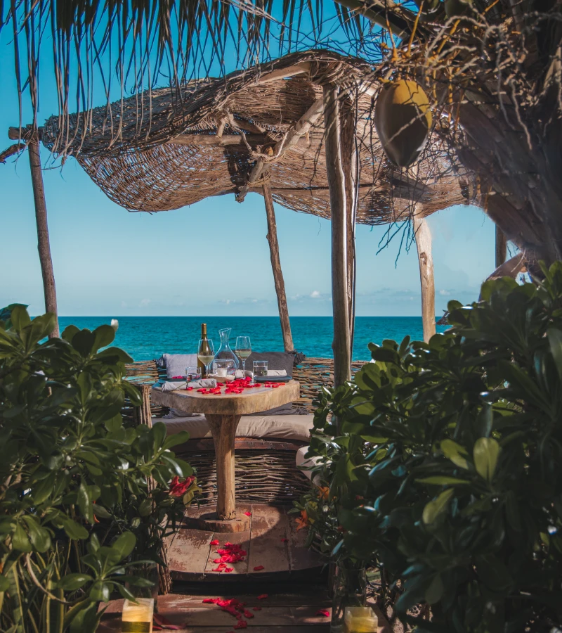 Rustic beachside table setup with wine and petals under a canopy.