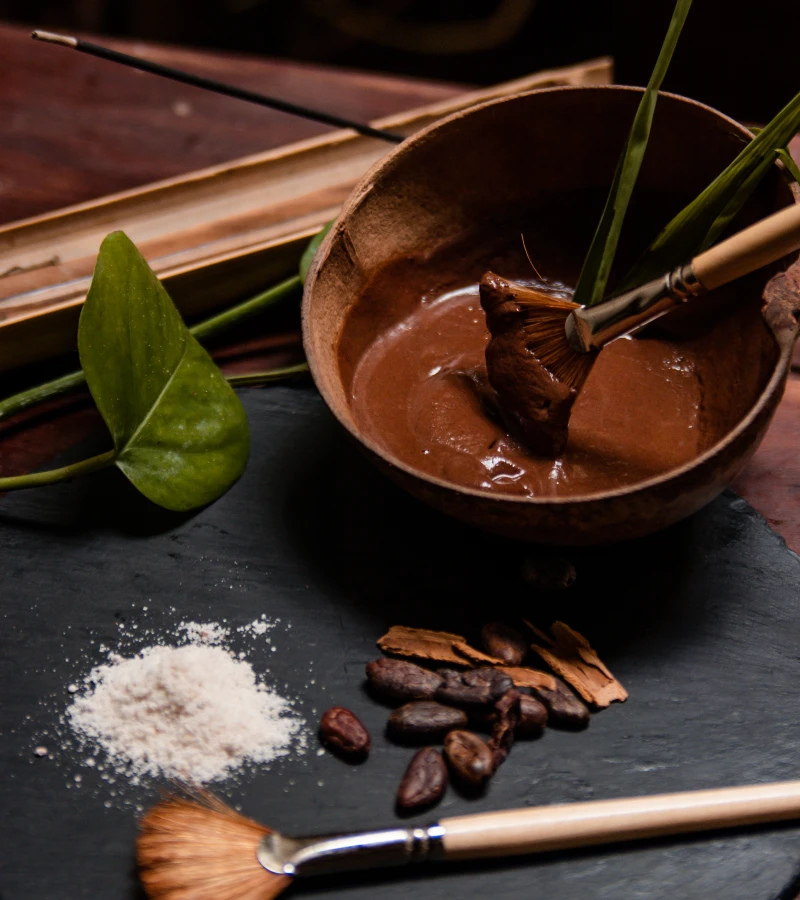 Bowl with chocolate, paintbrush, cocoa beans, and spices on a dark surface.