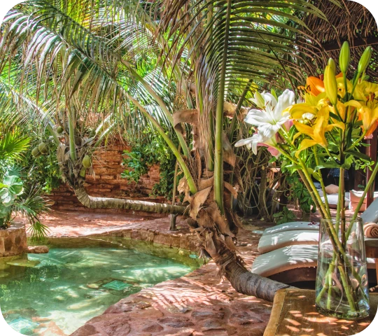 Tropical garden with pool, palm trees, and colorful flowers in a vase.