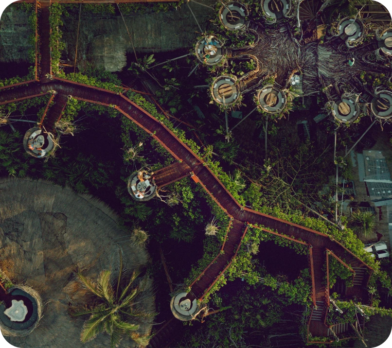 Aerial view of tree-top dining platforms connected by walkways in lush greenery.
