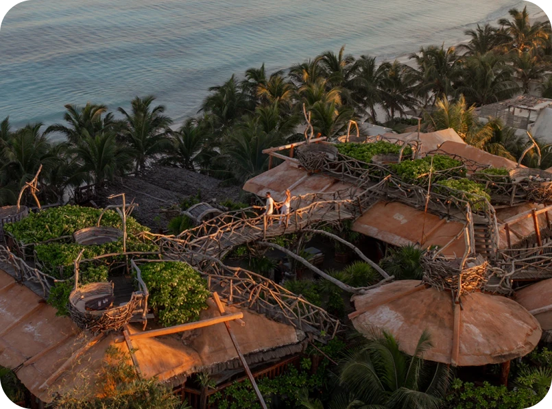 Rustic treehouse by the ocean, surrounded by lush palm trees.