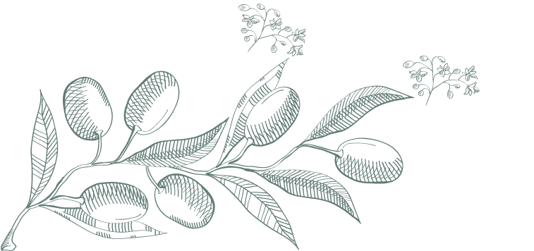 Floral gris con ramas y hojas estilizadas en dise&ntilde;o simple.