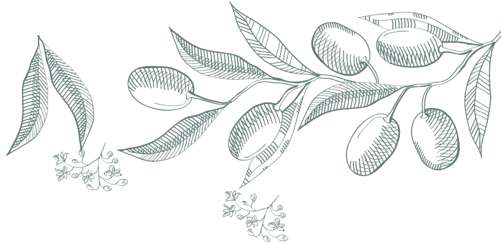 Ilustraci&oacute;n de ramas con hojas en color gris.