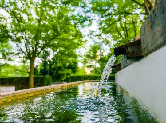 Fuente de agua en un parque rodeado de &aacute;rboles verdes.
