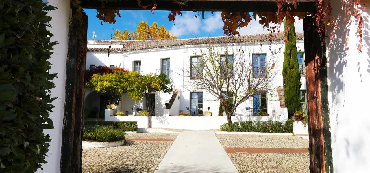 Patio de una casa blanca con &aacute;rboles y plantas bajo un cielo despejado.