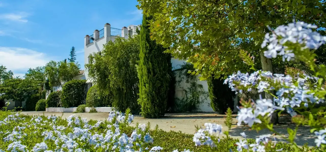 Jard&iacute;n con flores azules y &aacute;rboles frente a un edificio blanco.