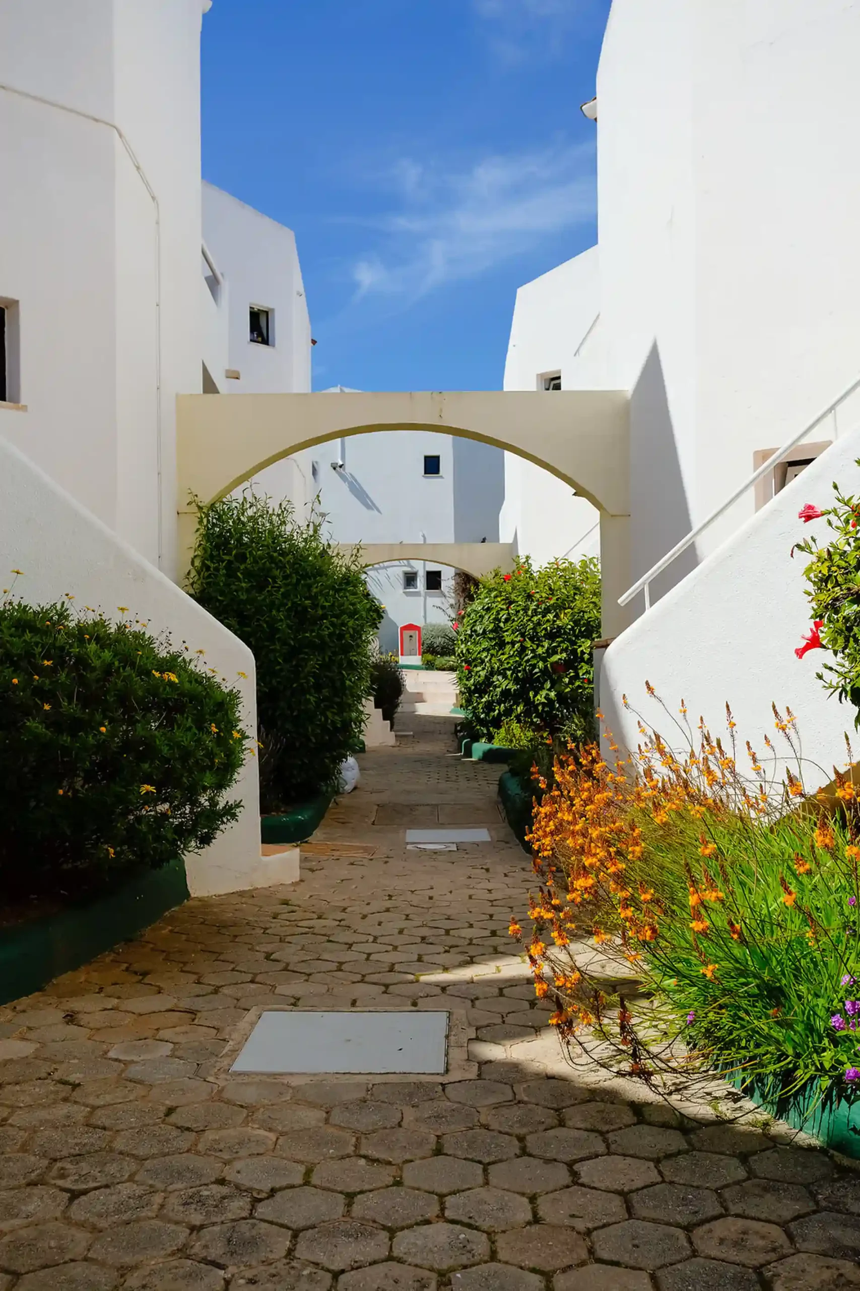 Narrow stone path between white buildings with arches and flowering bushes.