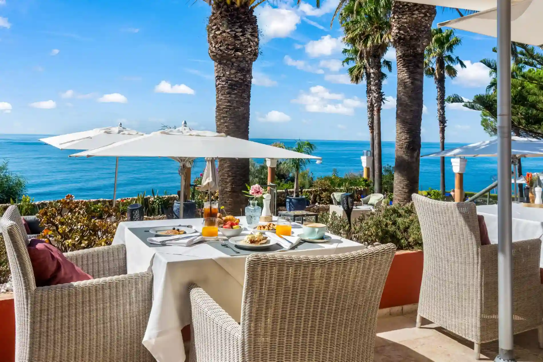 Outdoor dining by the sea with palm trees and blue sky.