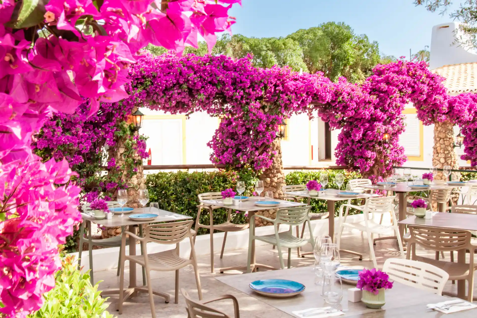 Outdoor dining with pink flowers draped over seating area.