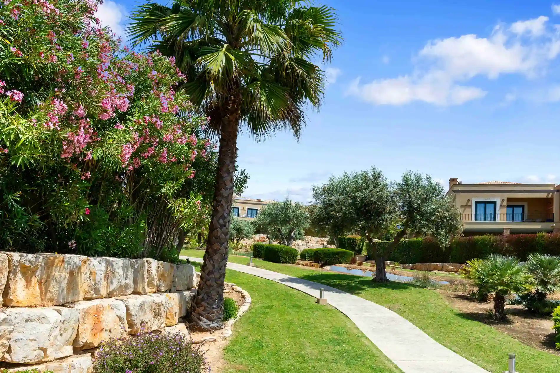 Pathway through a landscaped garden with palm trees and blooming bushes.