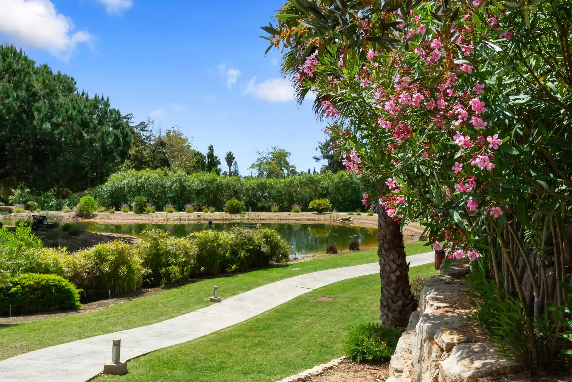Park path with pink flowers, pond, trees, and clear blue sky.