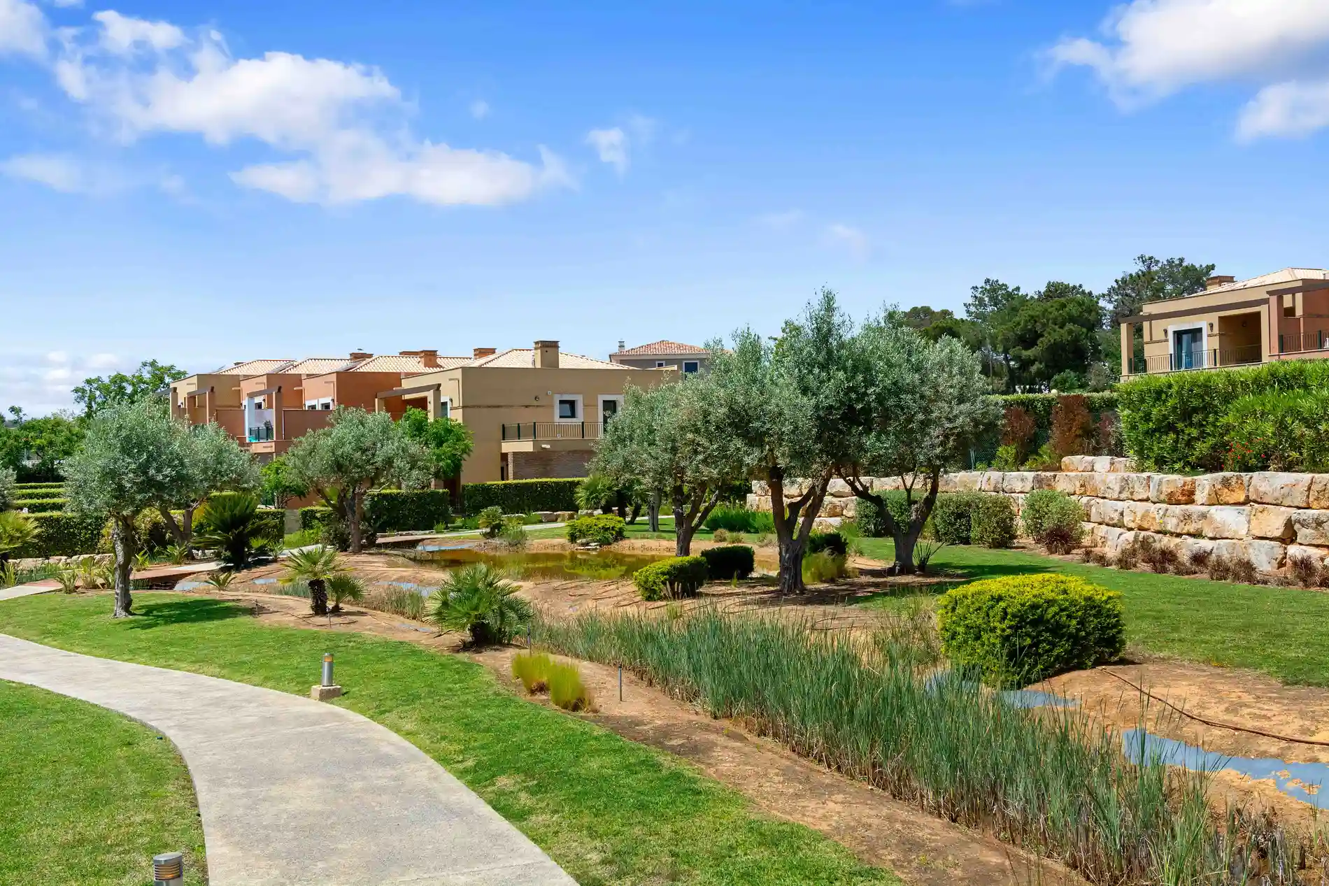 Mediterranean garden with trees and shrubs in front of modern buildings.