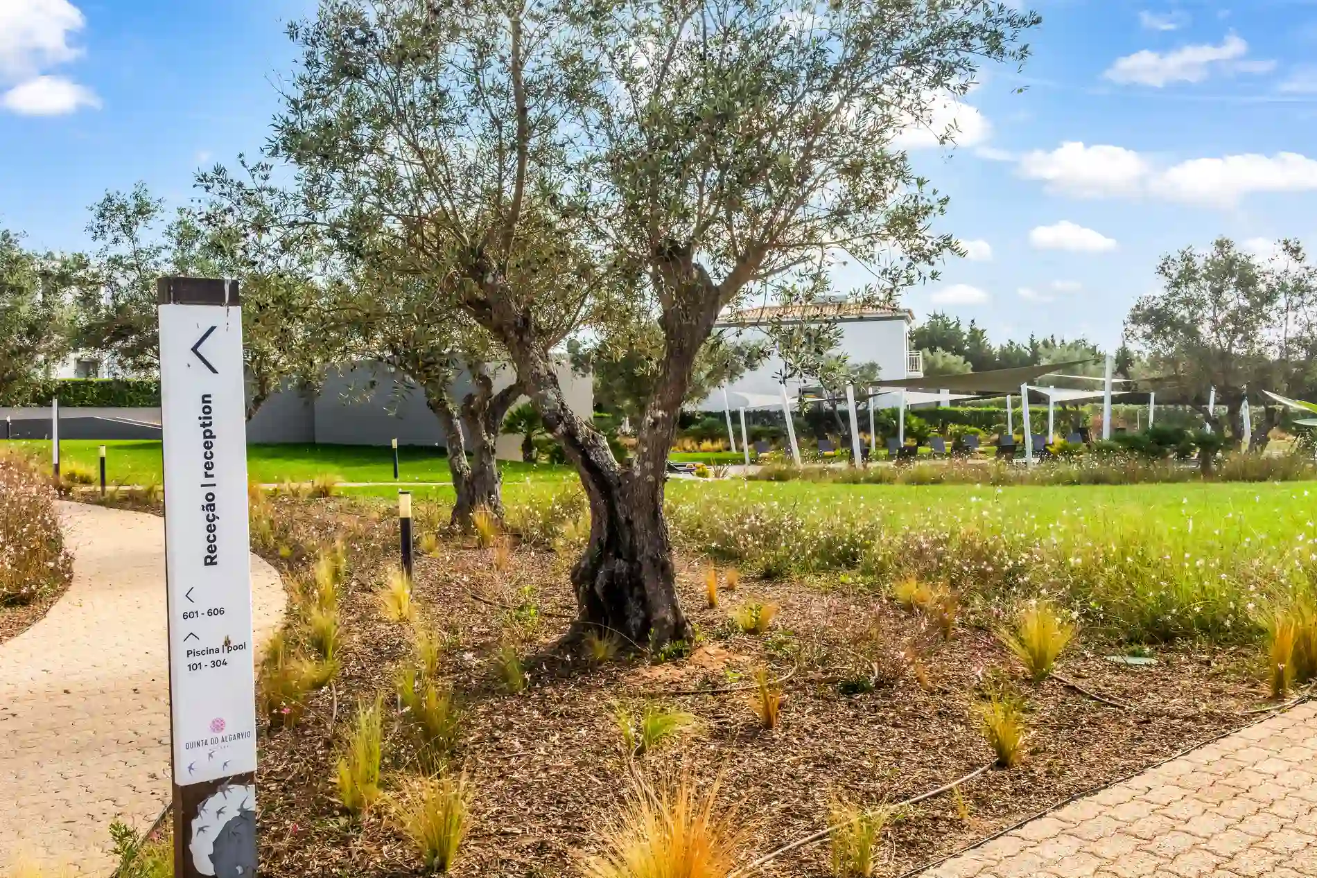 Pathway sign in a garden with trees and a green lawn under a blue sky.