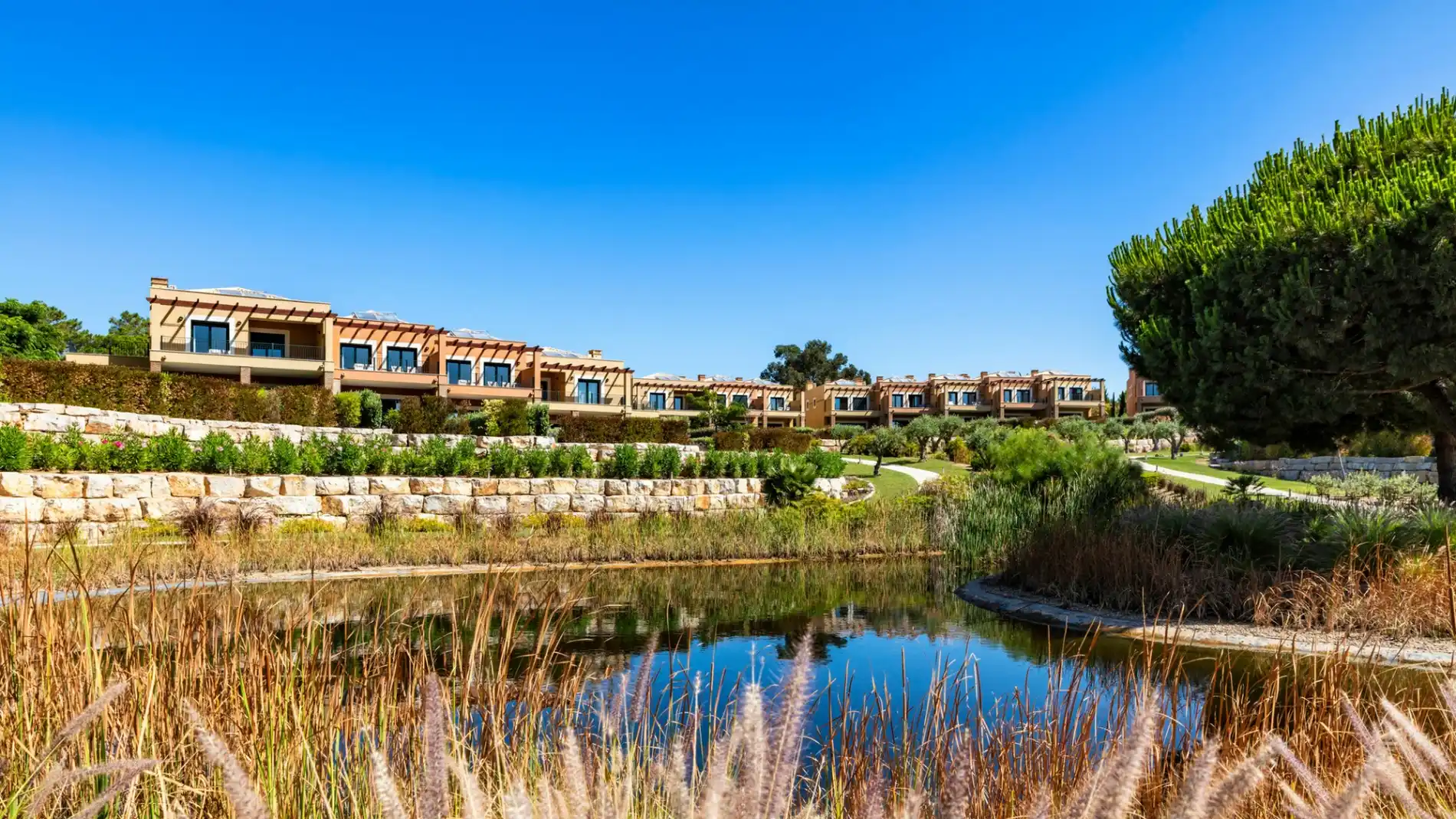 Houses by a tranquil pond, surrounded by greenery and a clear blue sky.
