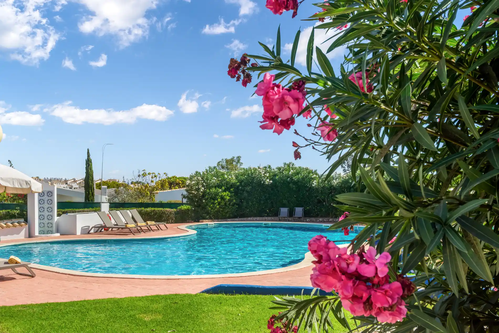 Poolside view with pink flowers and clear blue sky.