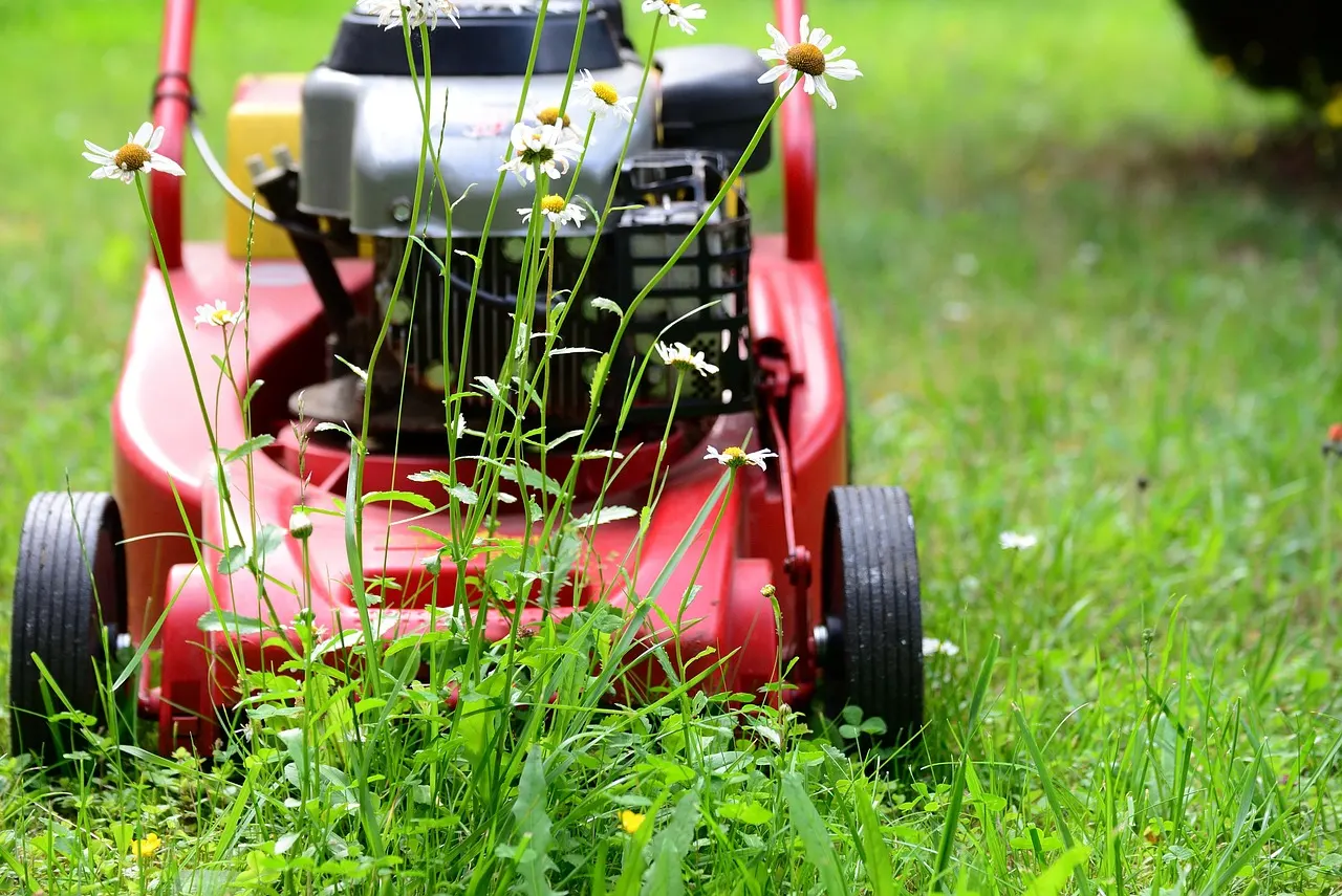 Red lawnmower in grass with white daisies.