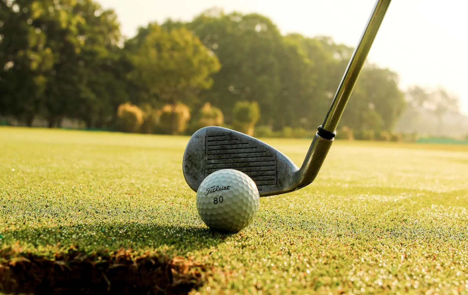 Golf club and ball on green grass, close to a hole.