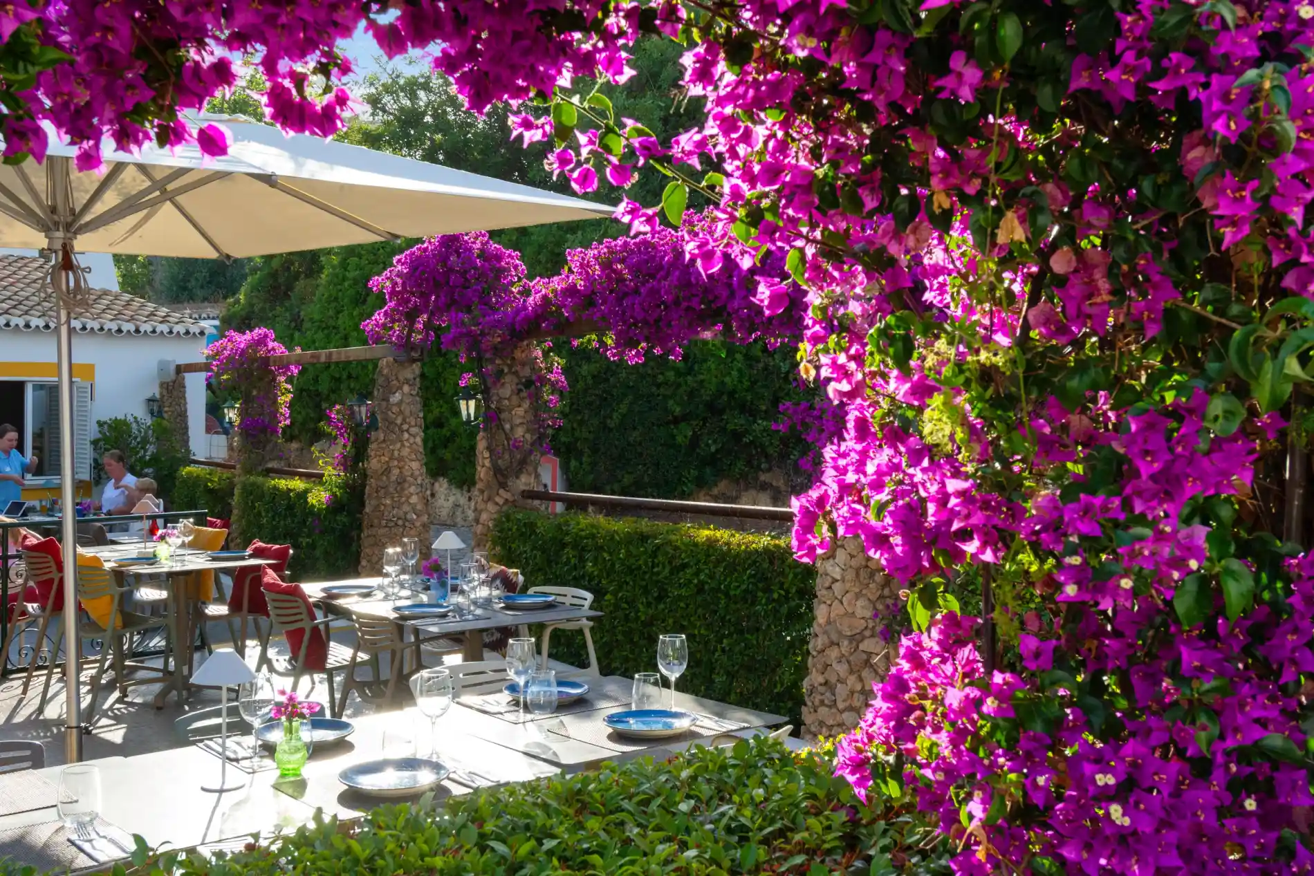 Outdoor dining area with vibrant purple flowers and a sunlit ambiance.