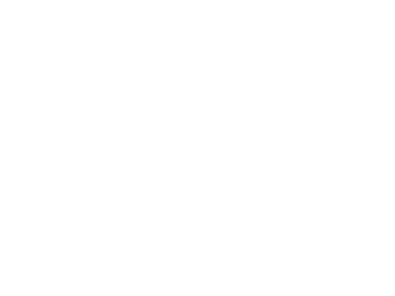 hibiscus-branco-webp
