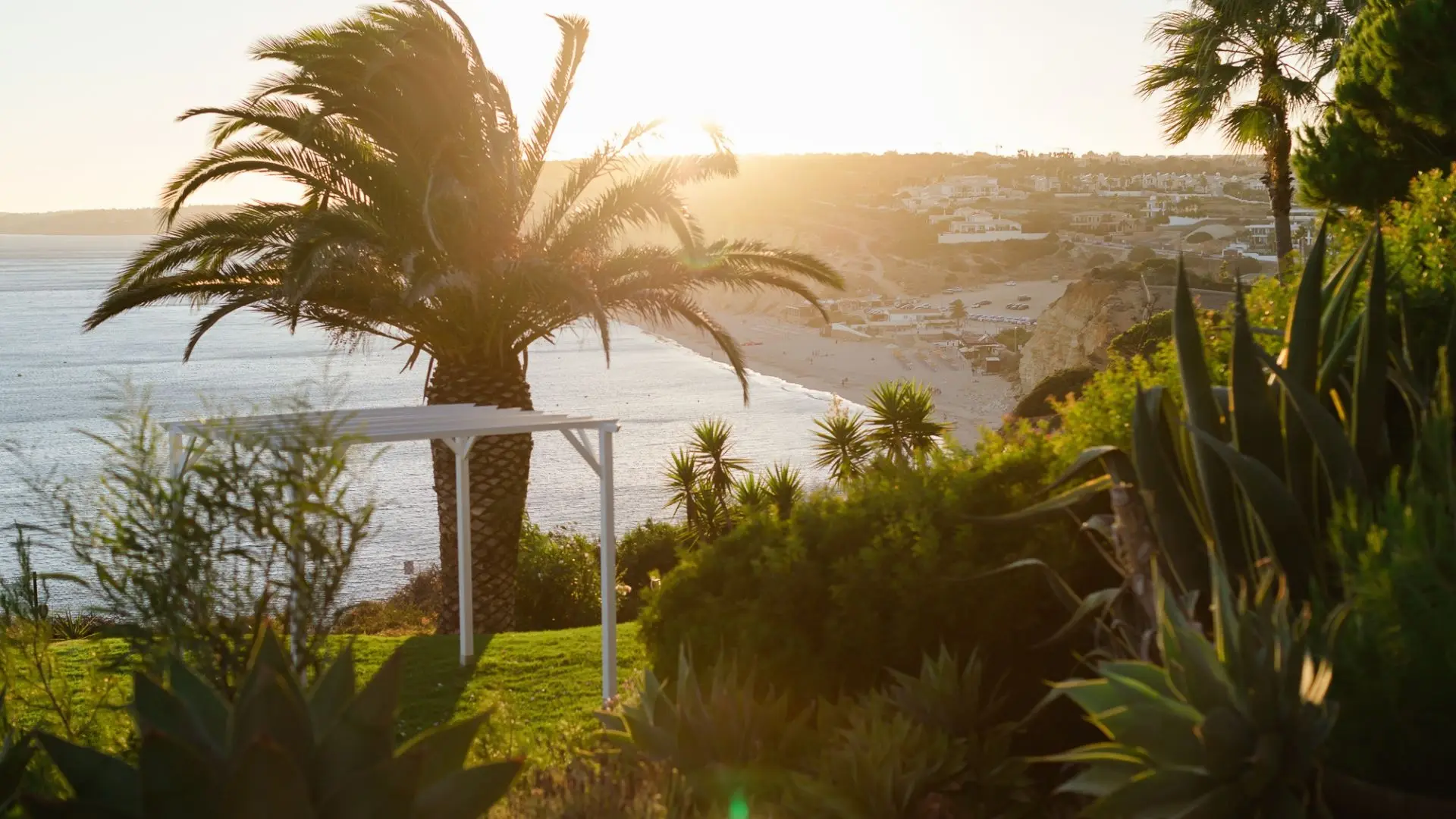 Coastal view with palm trees, beach, and sunset over the ocean.