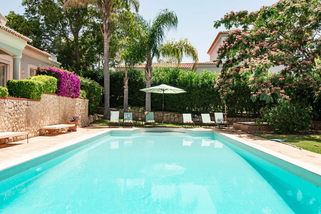Backyard pool area with lounge chairs, palm trees, and vibrant greenery.