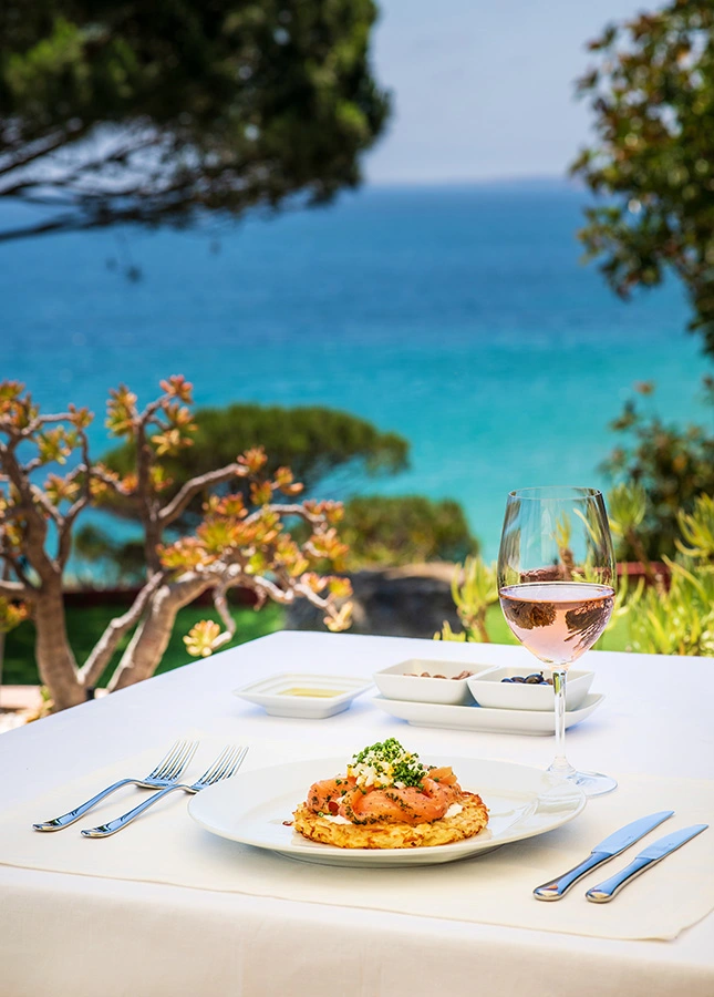 Plate of food and glass of wine with ocean view in the background.