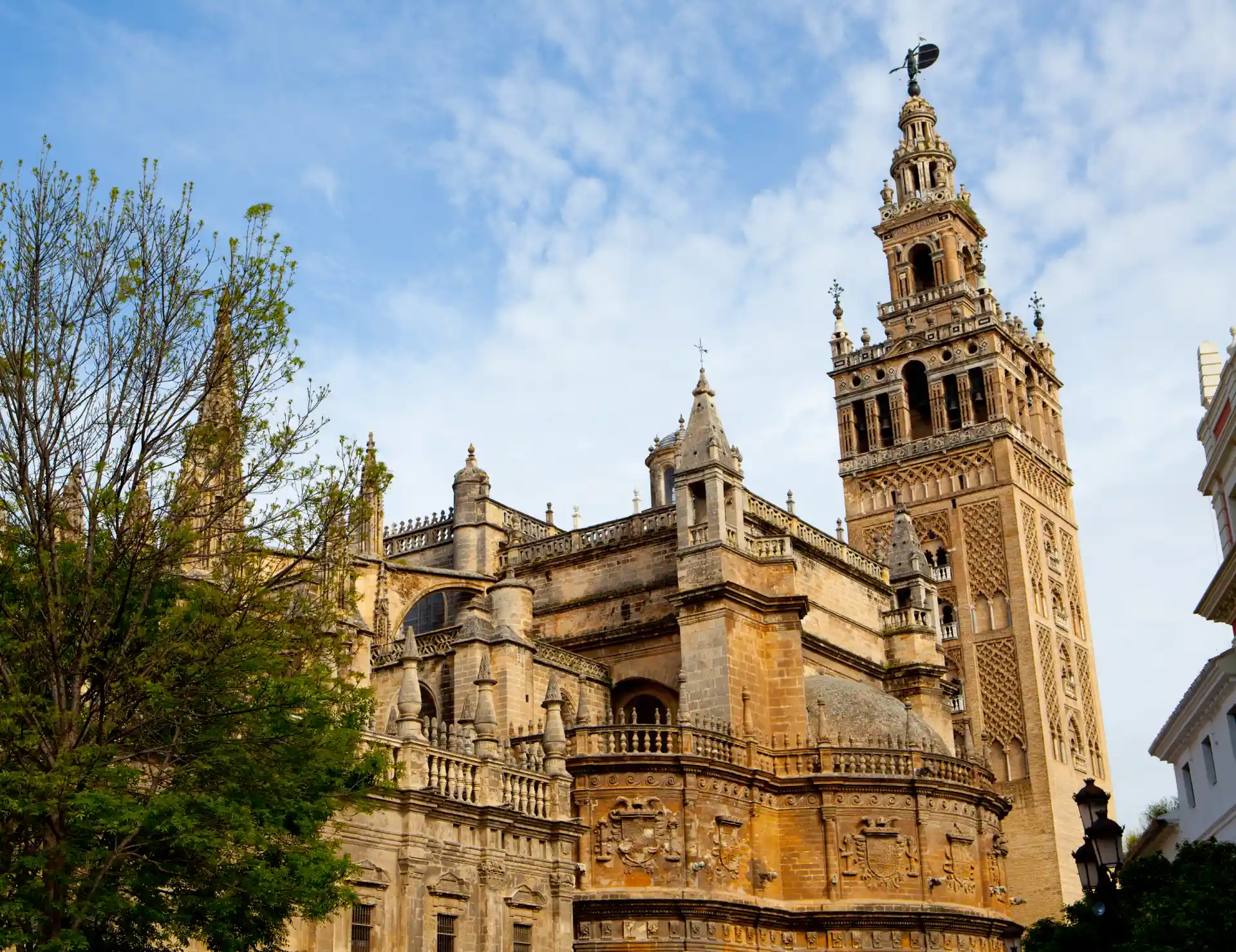 Catedral con torre hist&oacute;rica bajo un cielo azul y un &aacute;rbol verde al frente.