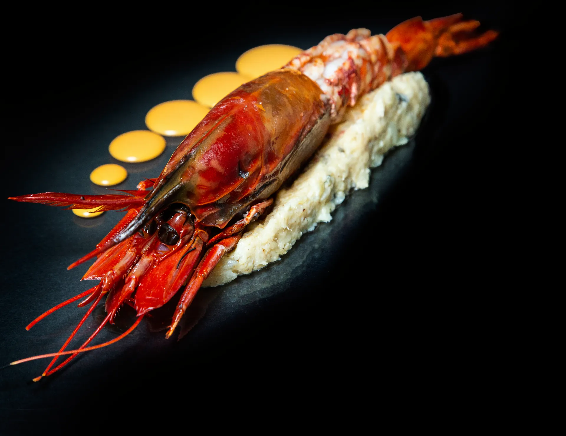 Gamba roja sobre base cremosa con gotas de salsa anaranjada.