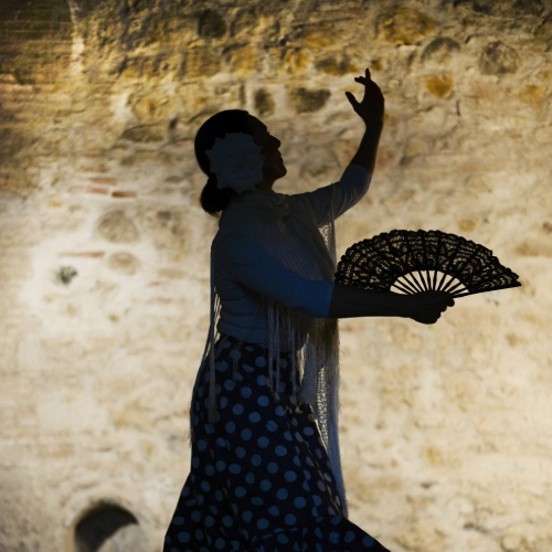Bailarina de flamenco en silueta contra fondo de pared de piedra.