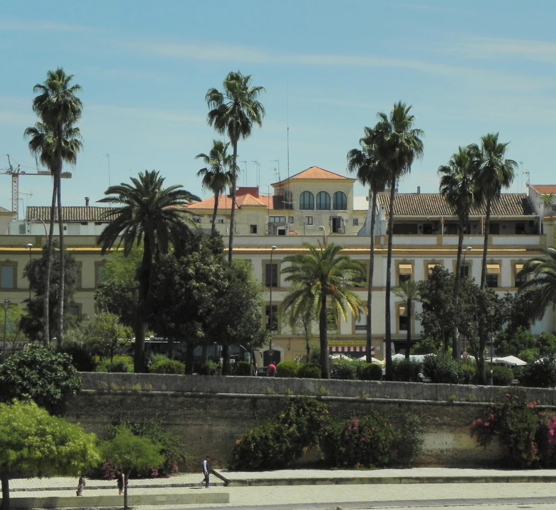 Edificios y palmeras en un d&iacute;a soleado.