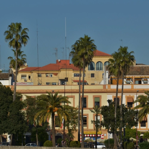 Edificio con palmeras en un d&iacute;a soleado.