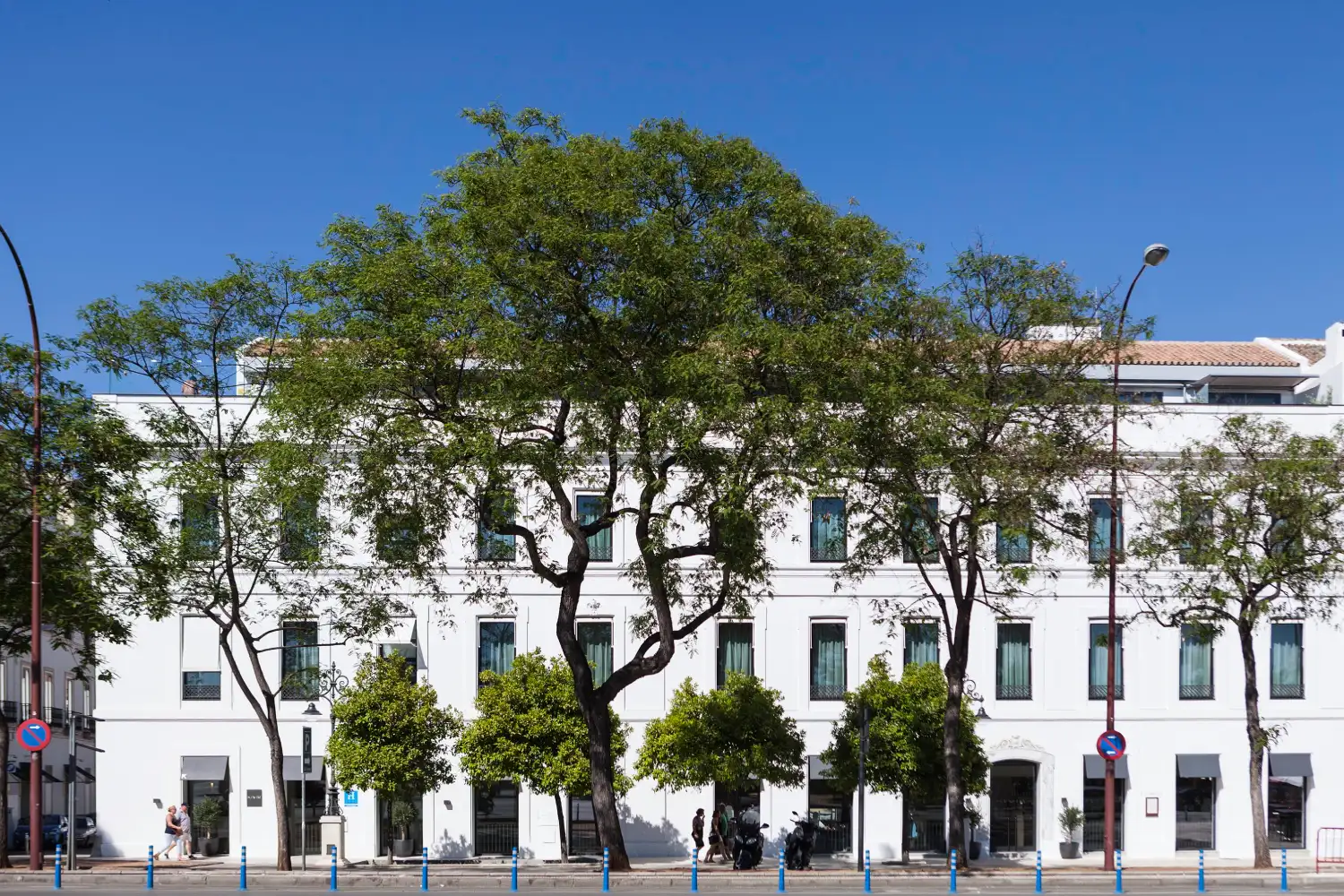 Edificio blanco con &aacute;rboles frente a &eacute;l bajo un cielo azul claro.