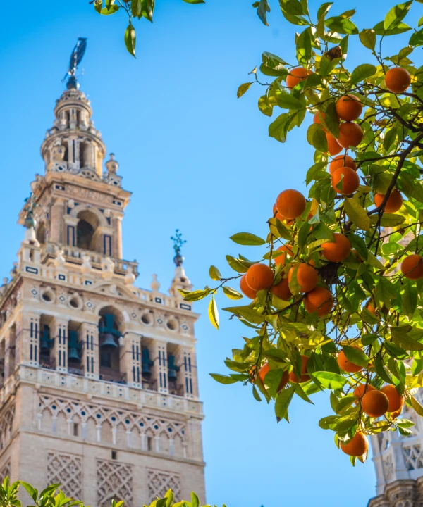 Torre hist&oacute;rica con naranjas en primer plano, cielo despejado.