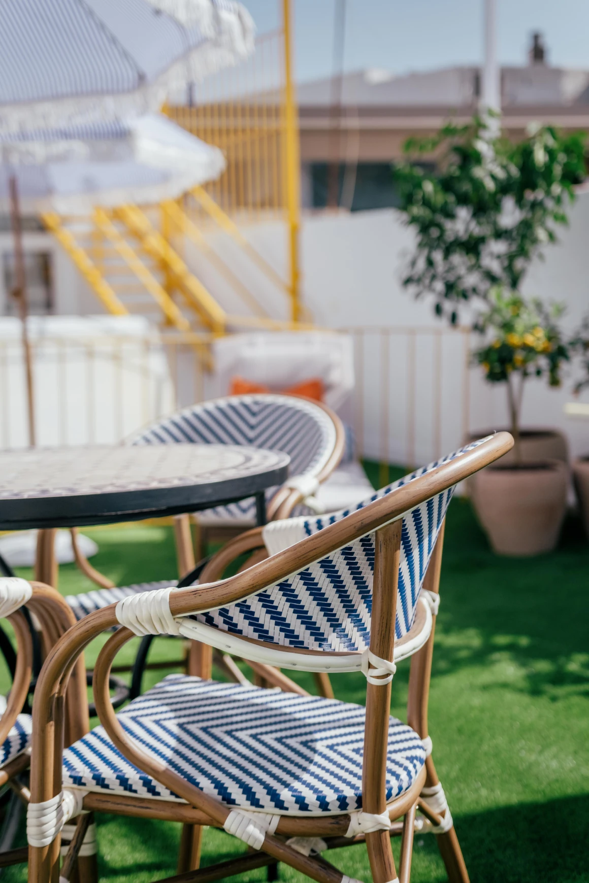 Sillas de ratán con cojines azules en patio verde, con mesa al fondo
