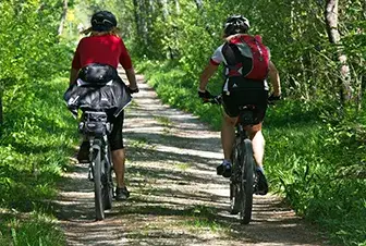 Dos ciclistas en un camino forestal rodeado de vegetaci&oacute;n abundante.